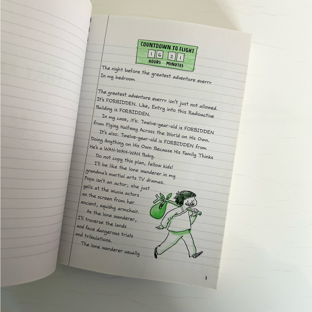 Fly on the Wall Book by Remy Lai diary-style illustrated novel - Picture 3 of 5